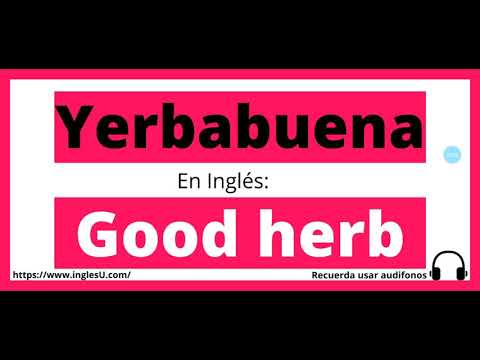 Cómo se dice yerbabuena en inglés - yerbabuena en ingles