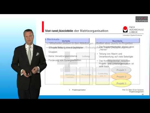 Formen der Projektorganisation im Projektmanagement