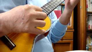 Piccolo Rag（Blind Boy Fuller）／ukulele
