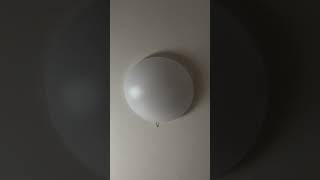 寝起きにぼやく須田省吾　#いつだって省吾