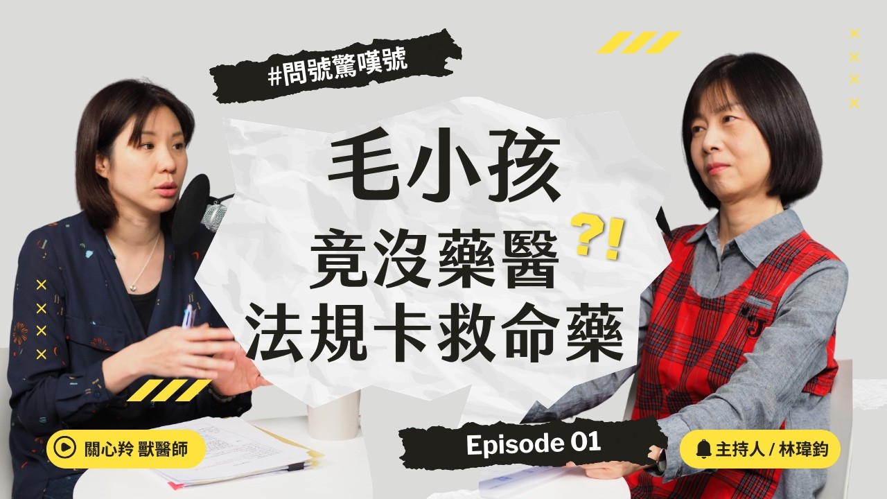 寵物用藥管理爭議:一部草案為何激怒全台獸醫師?!