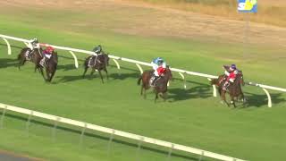 Pacific Jewel | ABR winner