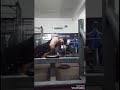 Vinny sharma powerlifter bodybuilder rajpura punjab india