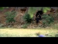 Полковник спецназа. Robin Hood BBC 