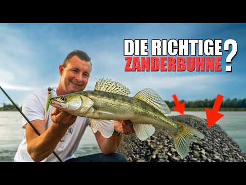 Zanderbuhnen suchen und finden