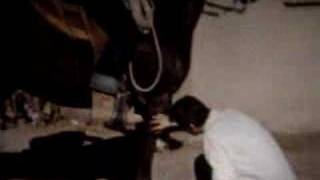 Ride 'Em Cowboy-Tucson, AZ 1956