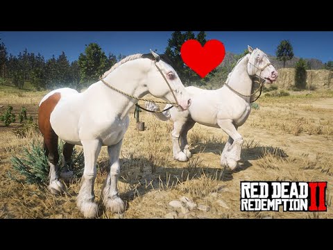 Starting the creation of GYPSY COBS - JOHN MARSTON'S FARM - Red Dead Redemption 2