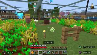 ［マイクラ］＃22 やっていく　参加は仲良い方か、X相互の方なら誰でも　コメント気軽にどうぞ～