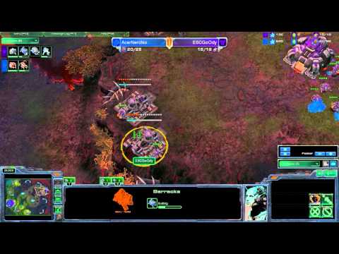 Goody vs Nerchio Game 2 TvZ