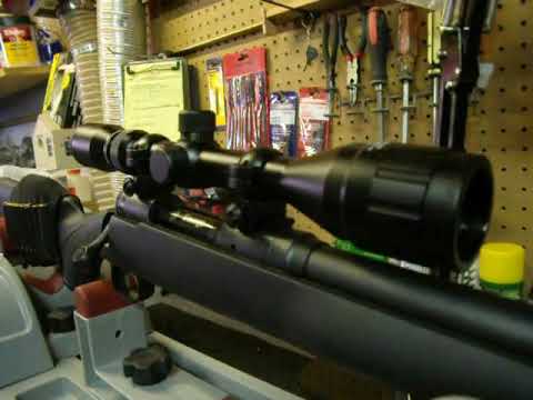 Bushnell 4-12x40 Riflescope Review - Donnie D