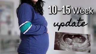 10-15 Week Pregnancy Update- Fetal Doppler Scare, Paranoia, and Ultra Sound   - itsMommysLife