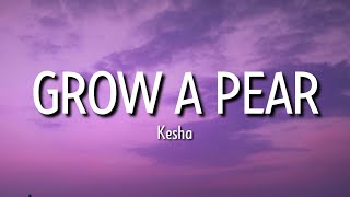 Kesha - Grow A Pear (Lyrics) &quot;But I just can&#39;t date a dude with a vag, When we fell in love [Tiktok]