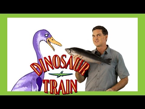 Hesperornis - Dinosaur Train - The Jim Henson Company