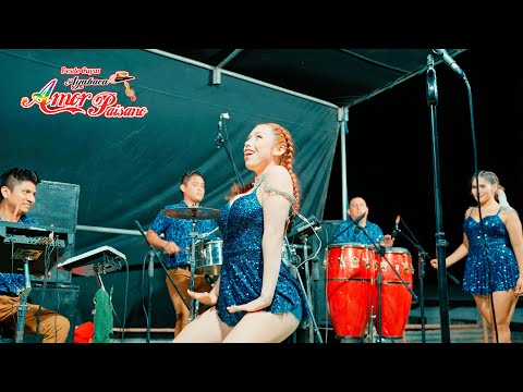 Parranda Selvática - Amor Paisano en Concierto El Tocto Huarmaca