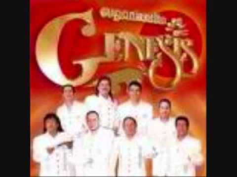 Organizacion genesis temo perderte