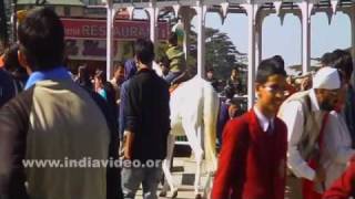 A child enjoying the horse ride 