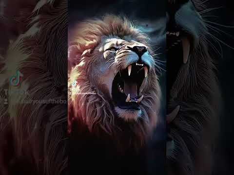 #wild #animals #trending