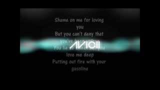 Avicii - Shame on Me (lyrics)