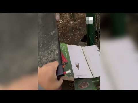 Мелкий шкет разворотил и обобрал чужое авто