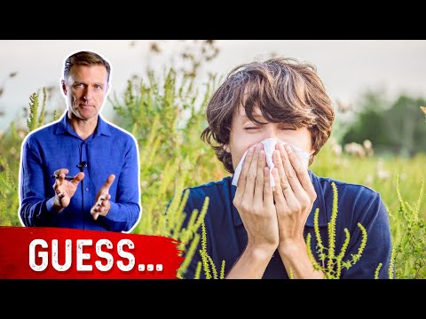 The 3 Top Allergies on the Planet