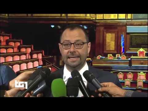 Stefano Patuanelli - servizio al Tg1 19/8/2019 ore 13