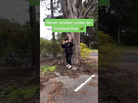 Safety tips during a storm! #shorts