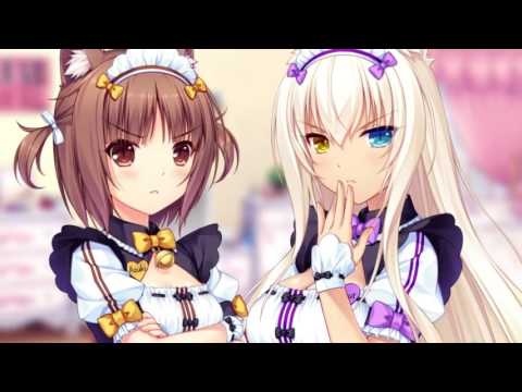 ネコぱらVol.2 姉妹ネコのシュクレ