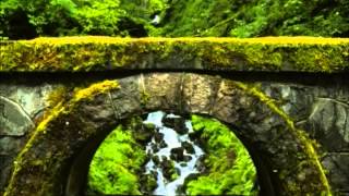 THE WISE HEART - THE SPACIOUS AND CLEAR HEART 6 of 6 ©2012 GandharvaMusic-LZWG GM-Spoken Word-AVP2