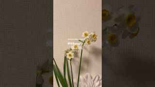 #社会人vlog #日常vlog