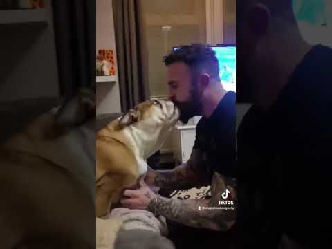 Dog bites owners face off!!     🐶 vs 🧔‍♂️. #dog