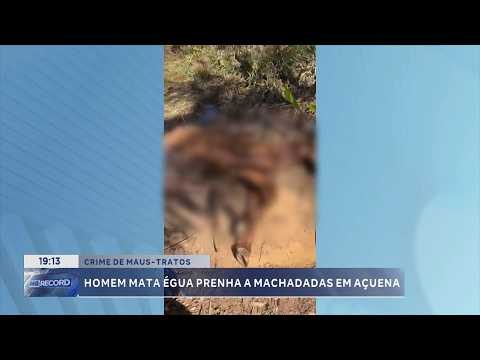 Crime de maus-tratos: Homem mata égua prenha a machadadas em Açucena.