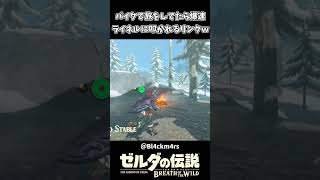 バイクで旅をしてたら爆速ライネルに殴られたリンクｗｗ【ゼルダの伝説 ブレス オブ ザ ワイルド】