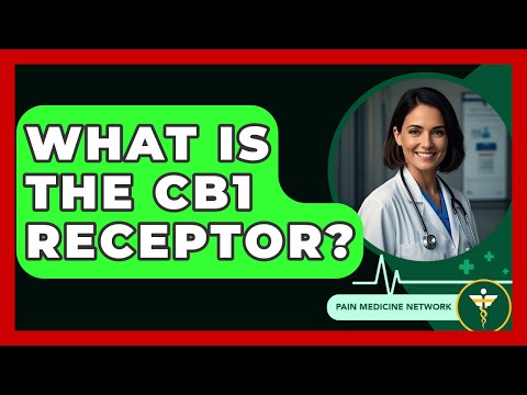 What Is The CB1 Receptor? - Pain Medicine Network