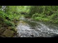 10 hours Babbling Brook Sounds Of Nature [no ads] ASMR forest water flowing