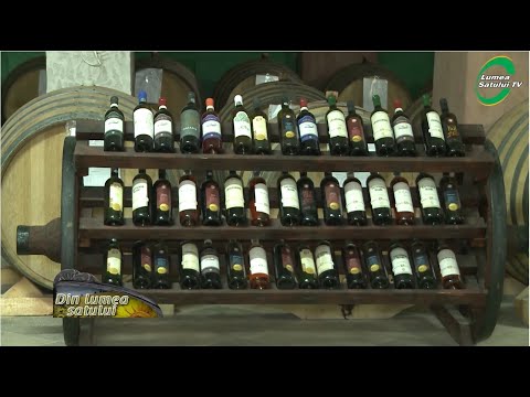 Domeniile Ostrov - o afacere cu vinuri de tradiție