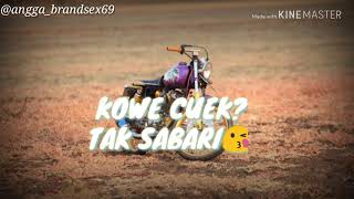 Download lagu story wa terbaru~sing biso mp3 Download lagu story wa terbaru~sing biso mp3