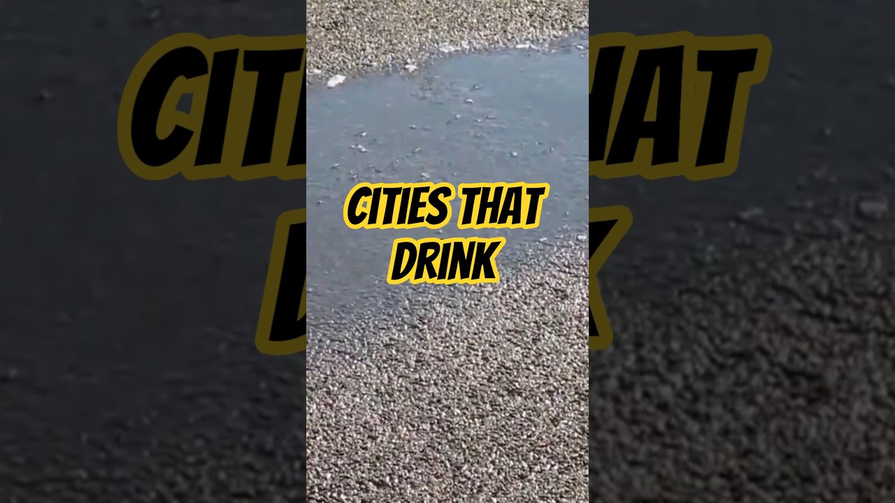 Can a City Actually DRINK Rain? 🌧️👅