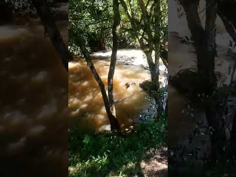 tupicua Wanda misiones