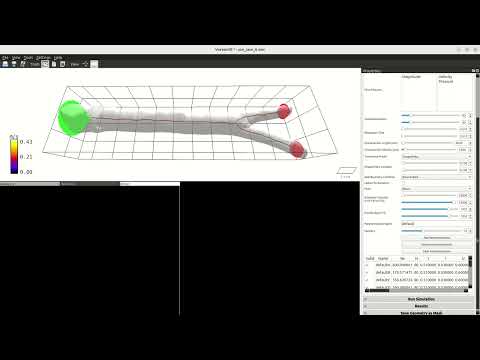 Voreen-OpenLB Use Case A: Bifurcation simulation workflow