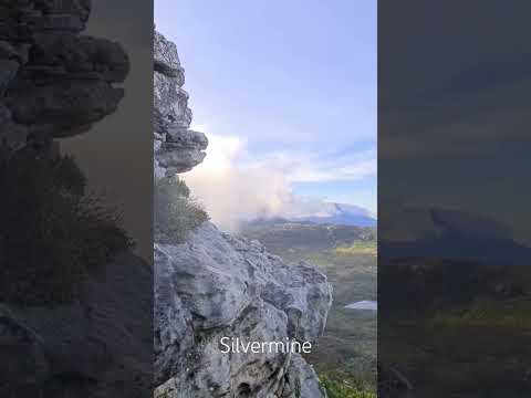 #silvermine