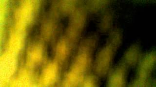 Outlandish &quot;eyes never dry&quot;