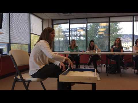Quick Clip on Lisa Dion teaching about Sand in the Playroom, a Synergetic Play Therapy Approach