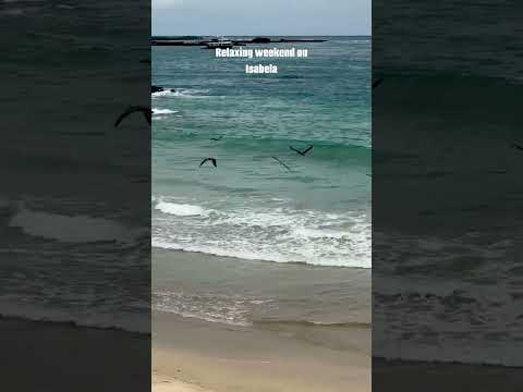 Puerto Villamil, Isabela, Galápagos, Ecuador