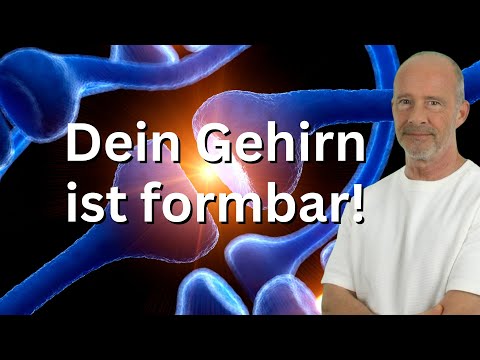 Neuroplastizität einfach erklärt: So verdrahten wir unser Gehirn neu, um mentale Stärke zu erlangen!