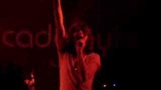 Same Blood-The Academy Is