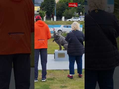 Poncho, el Perro Antártico Argentino en Ushuaia
