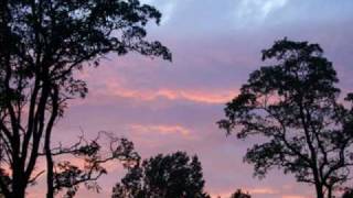 Otherworldly Dreamer - deadboy &amp; the Elephantmen / dax riggs