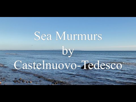 Heifetz Live 1972 Sea Murmurs (Castelnuovo-Tedesco)