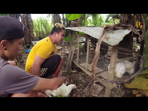 SE02EP67 - HAPPY BIRTHDAY " BILAS " Aidol Ey & Aidol Totong's BIRTHDAY CELEBRATION | S.P.C. Laguna