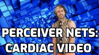  - Perceiver for Cardiac Video Data Classification (AlphaCare: Episode 2)